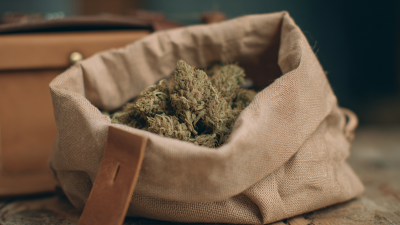 How to Choose the Best Smell Proof Bags for Your Needs