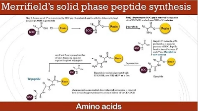 How to Efficiently Chemically Synthesize Peptides for Advanced Applications