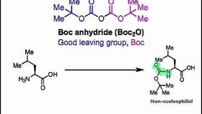How to Use Menstrual Heat Patches for Effective Pain Relief and Comfort