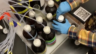 How to Effectively Chemically Synthesize Peptides for Your Research Needs