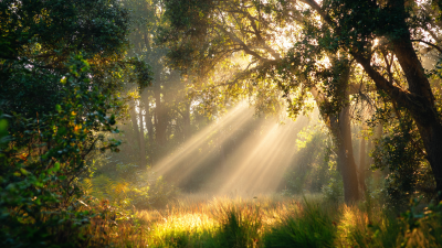 How to Optimize Your Space with Sunshine Light for Better Productivity and Wellbeing