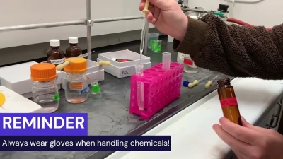 How to Master the Art of Chemically Synthesizing Peptides in the Lab
