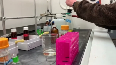 Essential Guide to Menstrual Heat Patches Benefits Usage and Effectiveness