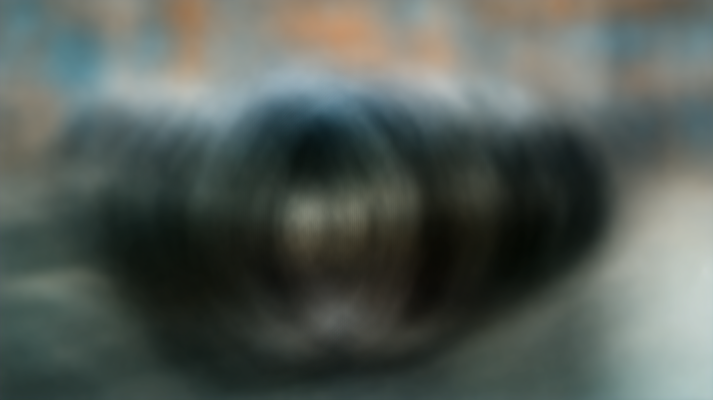 How to Choose the Right Caster Trolley Wheels for Your Needs