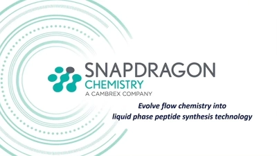 How to Efficiently Chemically Synthesize Peptides in Your Laboratory