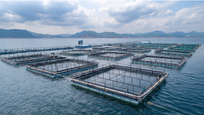 How to Enhance Water Quality with Air Diffuser Technology in Treatment Systems