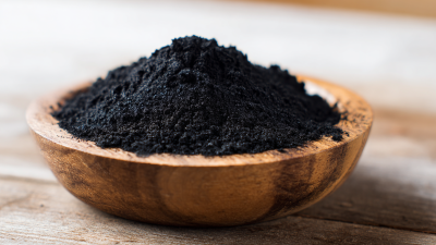 How to Maximize Health Benefits with Bulk Shilajit Extract Powder