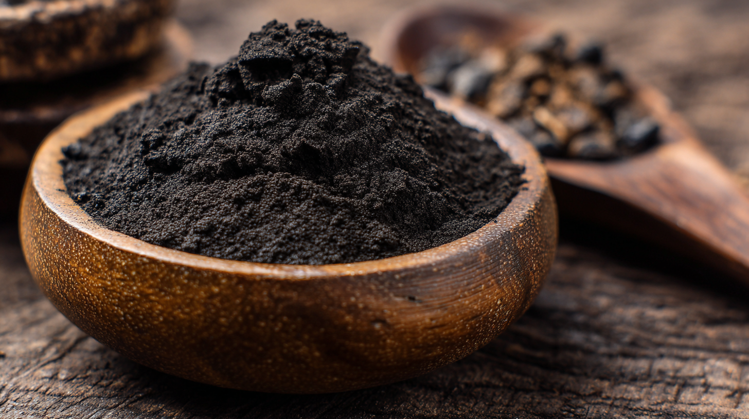 How to Maximize Health Benefits with Bulk Shilajit Extract Powder