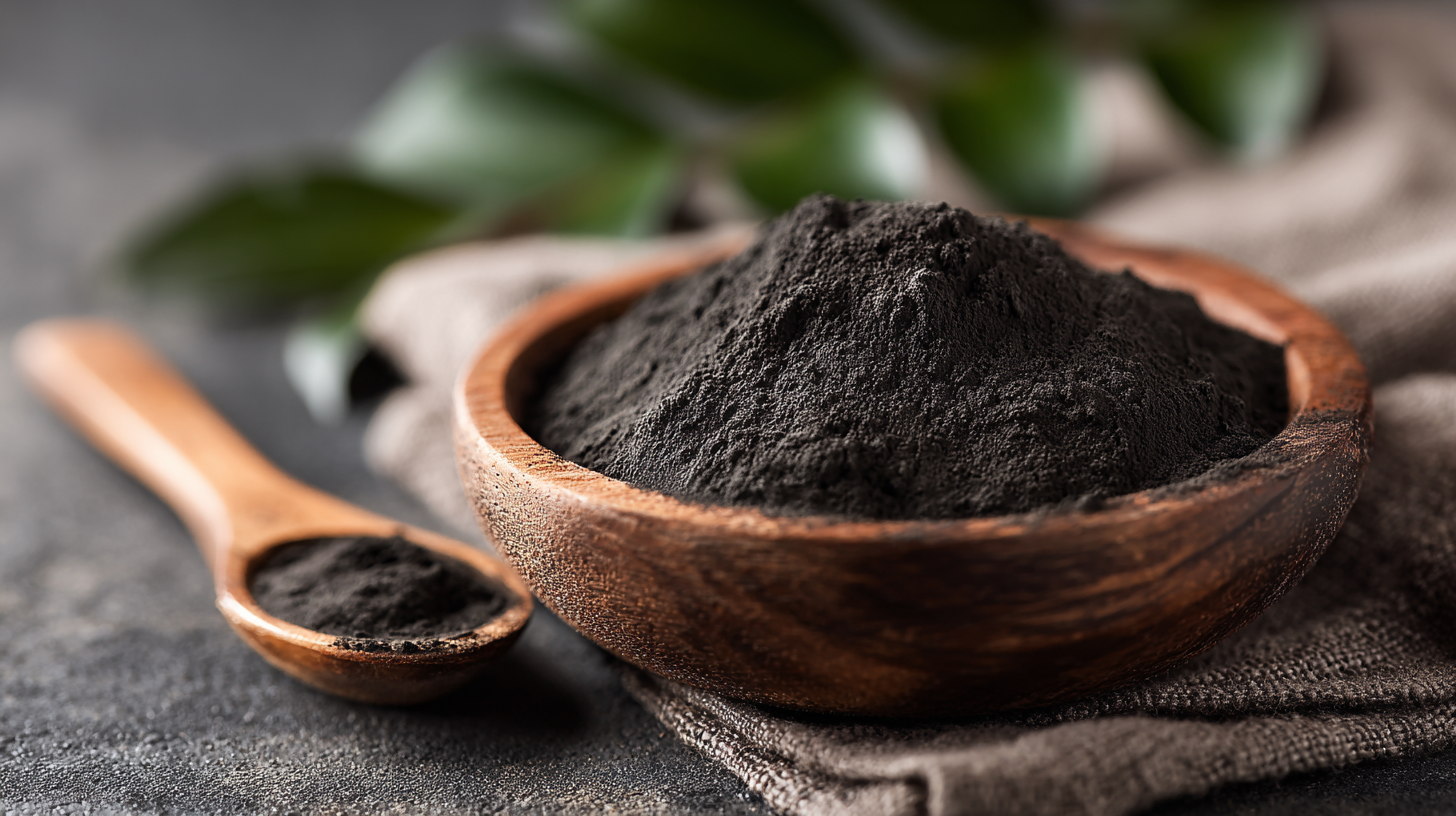 How to Maximize Health Benefits with Bulk Shilajit Extract Powder