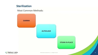 Top 10 Inverter Welding Machines for Beginners: Essential Tips & Reviews