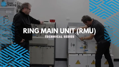 How to Choose the Best China Pet Jewelry Designer and Manufacturer?