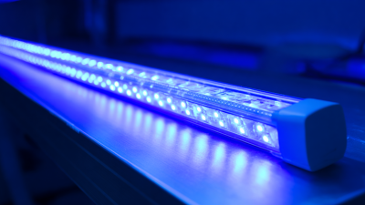 What are the Advantages of Solar LED Technology for Sustainable Living