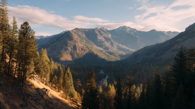 Why Cordierite Mullite Plate is the Key to High Performance in Kiln Applications