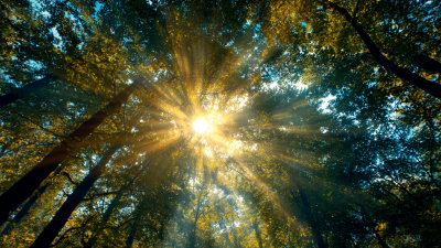 What is the Impact of Sun Light on Our Daily Lives