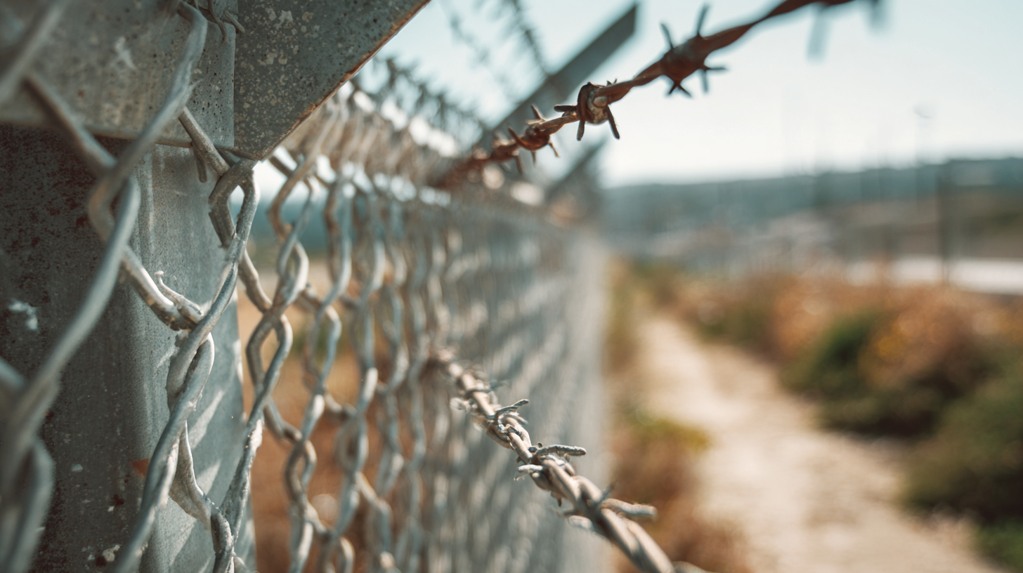 7 Essential Tips for Choosing the Right Concertina Border Fence