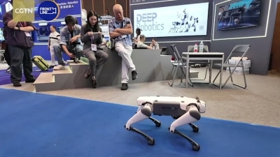 Exploring the Surge in Demand for Electric Wafer Butterfly Valves at the 138th Canton Fair 2025