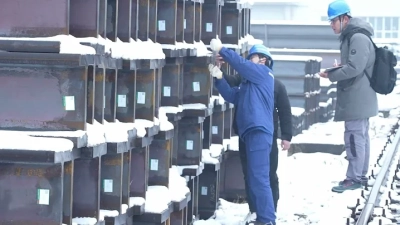 2025 How to Choose the Best Pellet Machine for Your Business Needs