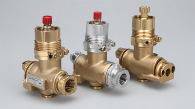 Innovative Trends in Geyser Pressure Valves Revealed at the 138th Canton Fair 2025 with Industry Growth Data