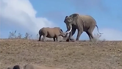 Exploring Pipe Valve Innovations at the 138th Canton Fair 2025: Industry Insights and Trends