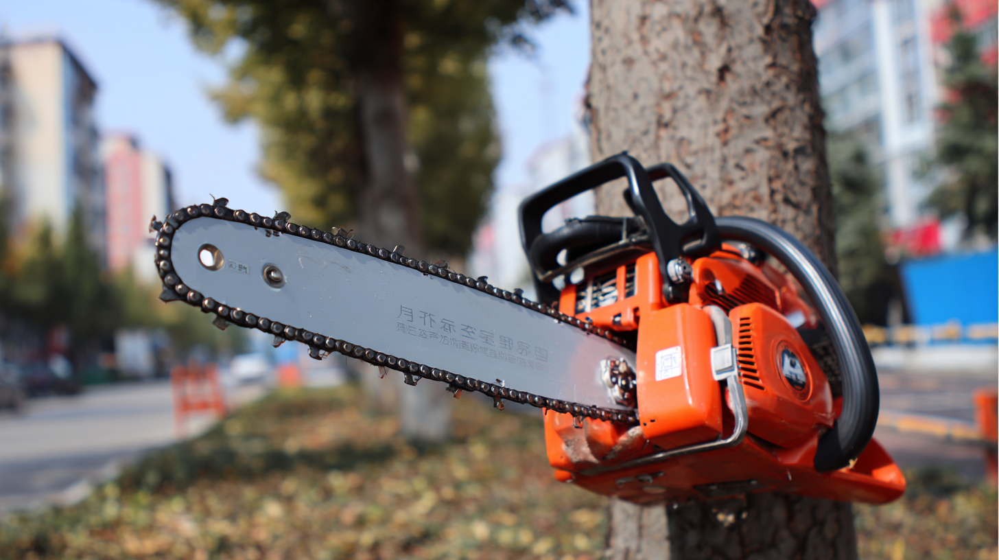 Exploring Gasoline Chain Saw Market Trends at the 2025 China 138th Import and Export Fair