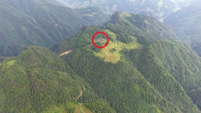 Exploring Electric Wafer Butterfly Valve Innovations at the 138th Canton Fair 2025 in China