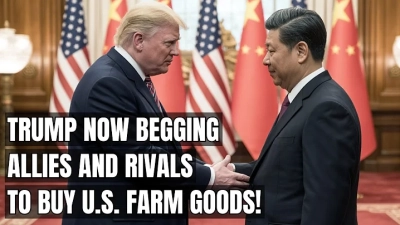 The Ultimate Guide to Choosing the Best Automatic Drainage Pump for Your Needs