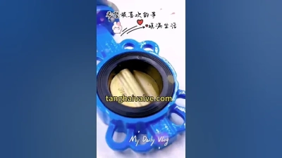 How to Choose the Right Fire-Rated Door for Your Home?