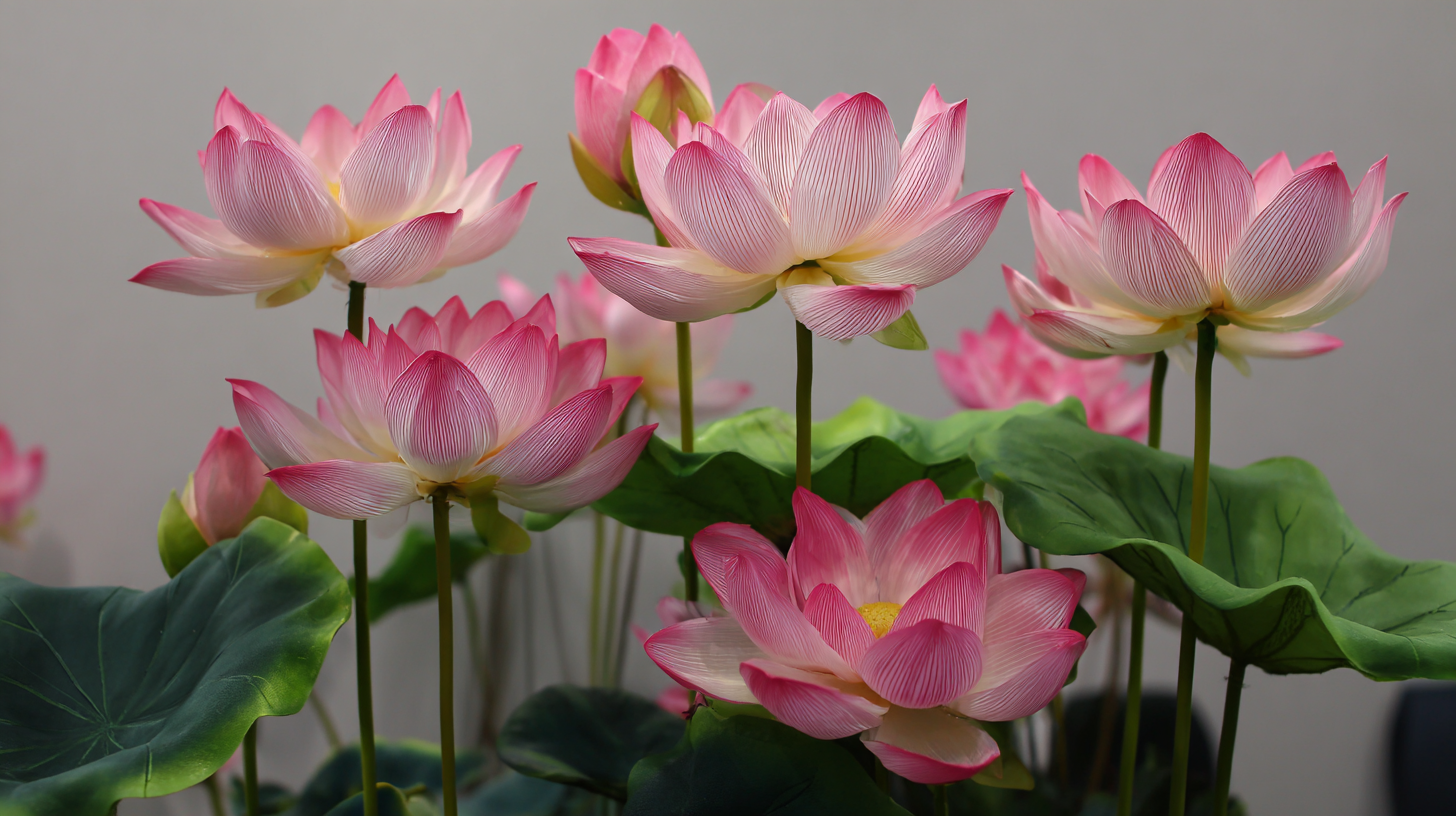 Innovative Trends in Artificial Lotus Flowers for Decoration at the 2025 China Import and Export Fair