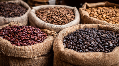 Discovering High Quality Coffee Beans at the 138th Canton Fair 2025: Market Trends and Insights