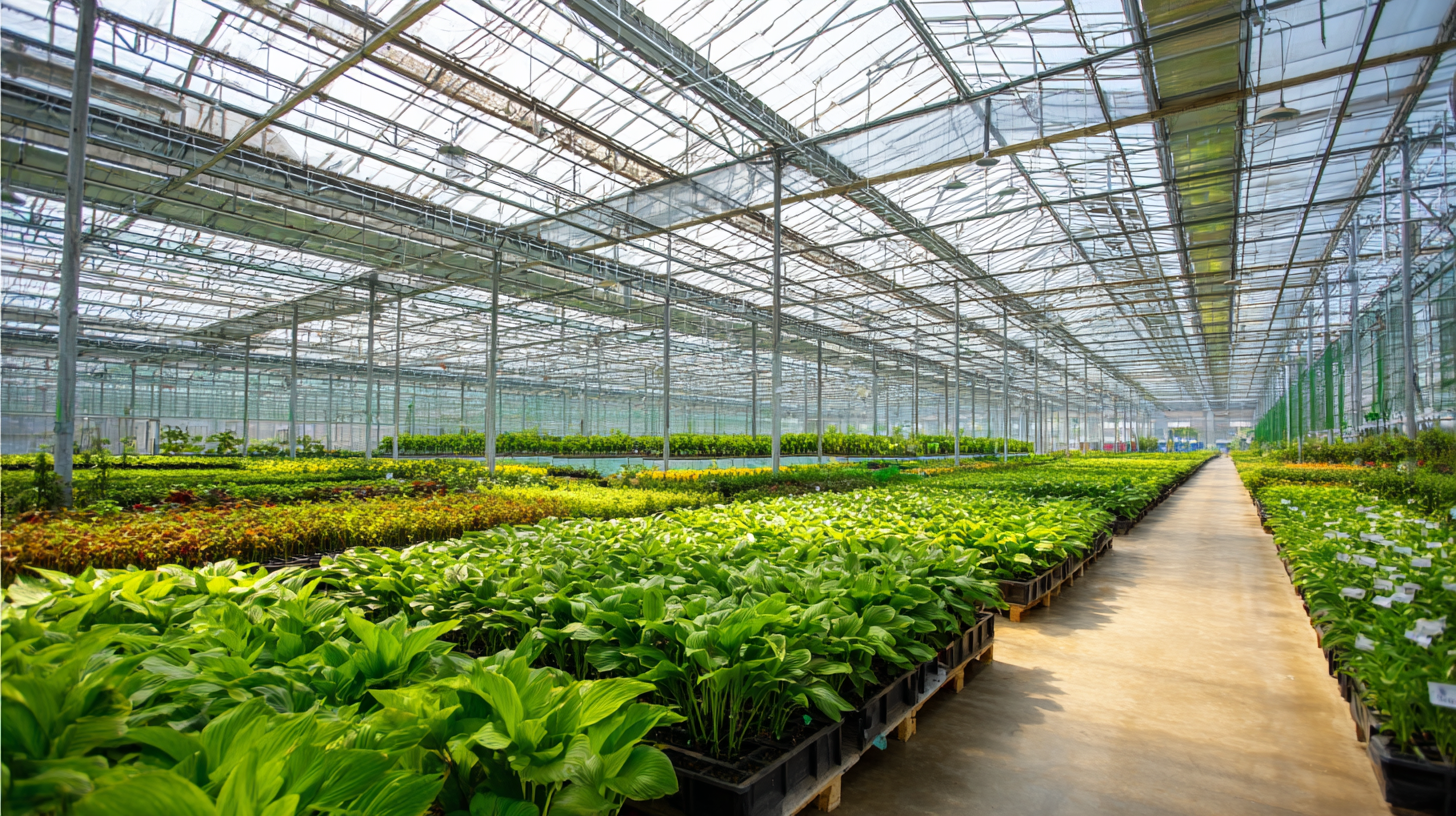 Unveiling Market Trends for Multi-Span Greenhouses at 2025 China Import and Export Fair