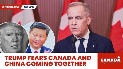 Exploring Lifepo4 Battery Trends at the 2025 China Import and Export Fair