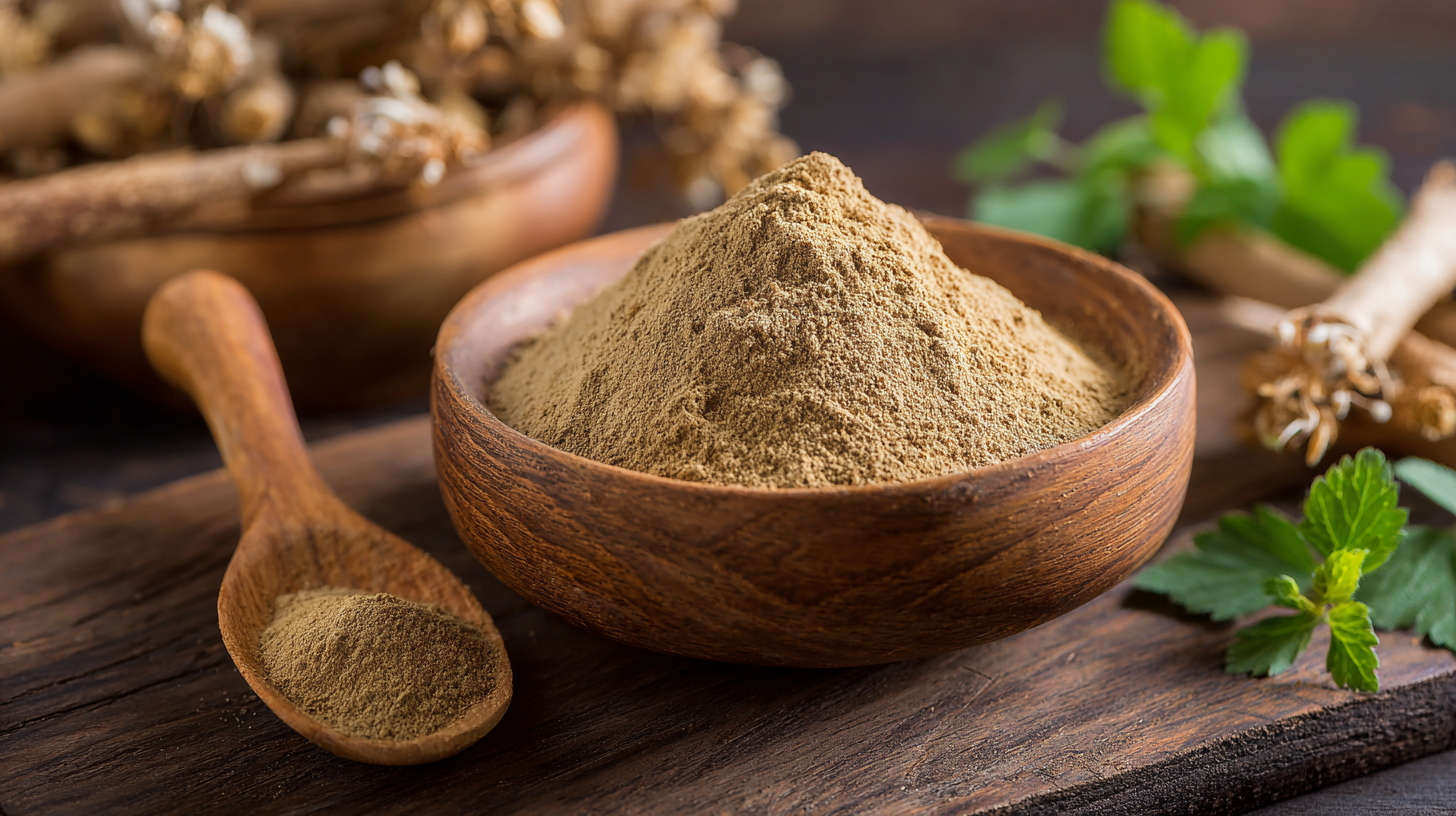 Why You Should Consider Adding Angelica Extract Powder to Your Wellness Routine