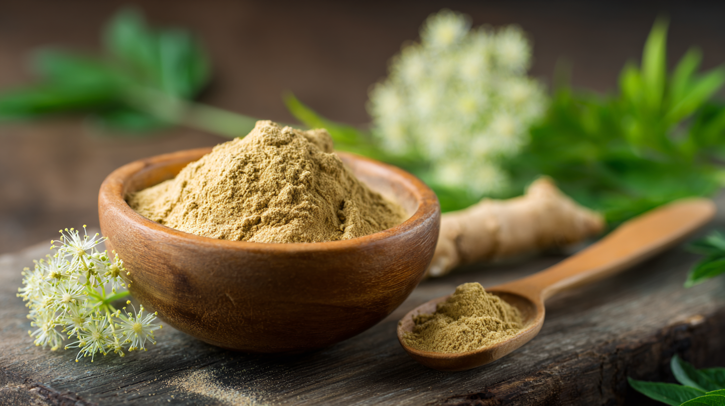 Why You Should Consider Adding Angelica Extract Powder to Your Wellness Routine