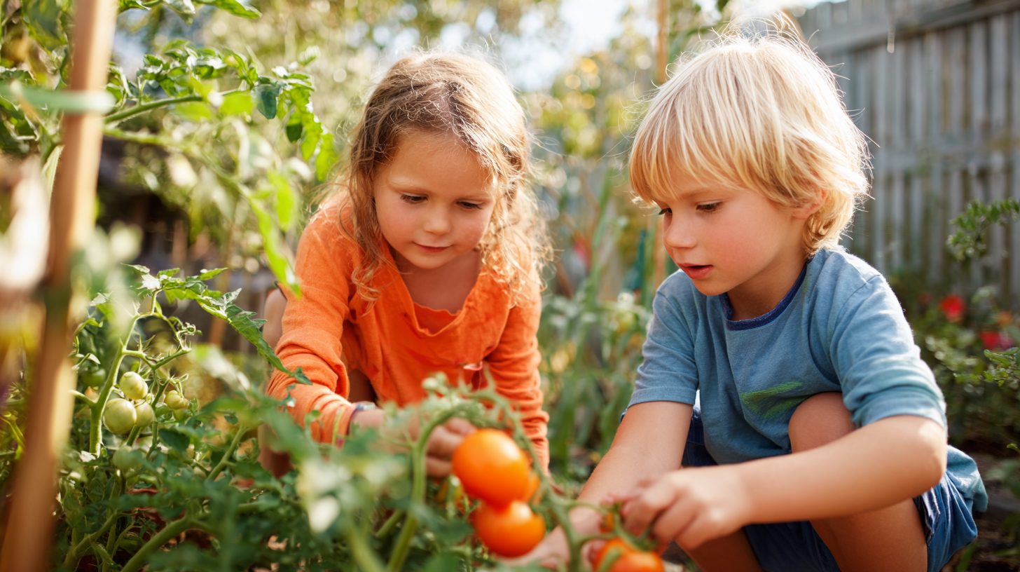 5 Best Garden Play Ideas to Boost Childrens’ Outdoor Activity by 60%