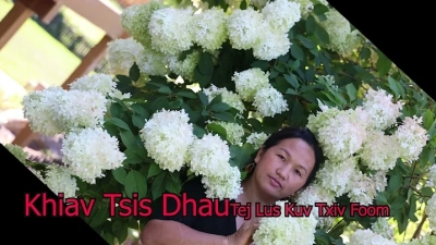 Best Glass Types for Every Application What You Need to Know?