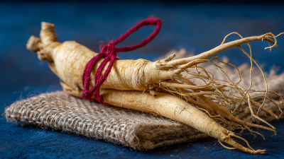 5 Best American Ginseng Extract Benefits You Should Know