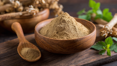 Why You Should Consider Adding Angelica Extract Powder to Your Wellness Routine
