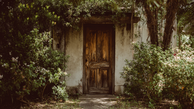 Unlocking Style: The Ultimate Guide to Choosing the Perfect External Doors for Your Home