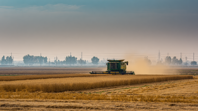 How Crop Dryers Transform Agriculture for Sustainable Farming Practices