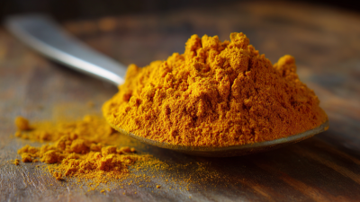 The Surprising Health Benefits of Turmeric Powder: Nature's Golden Spice Explained