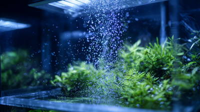 Revolutionize Your Aquarium: The Ultimate Guide to Micro Bubble Air Diffusers for Optimal Aeration