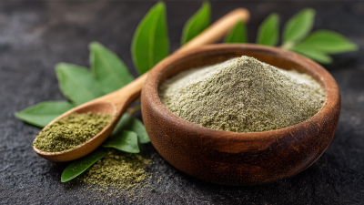 The Essential Role of Docosahexaenoic Acid in Brain Health and Development