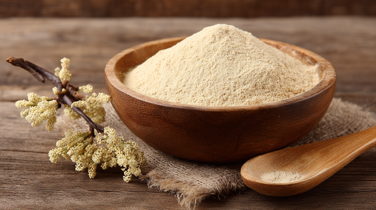 Unlocking the Health Benefits of Genistein Powder for Hormonal Balance and Cellular Protection