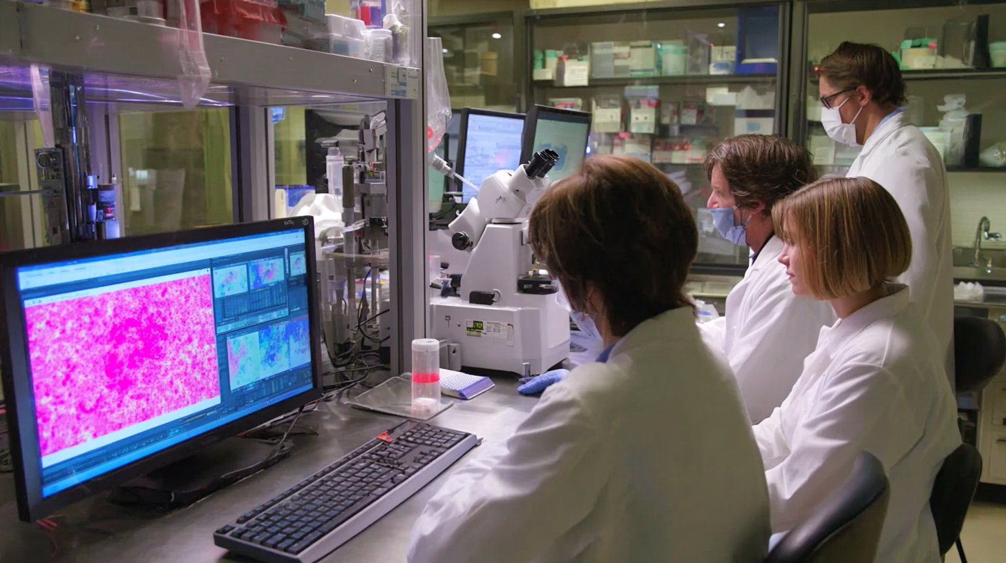 Unlocking the Potential: Understanding the Role of Intermediate Of Panatinib in Modern Treatments