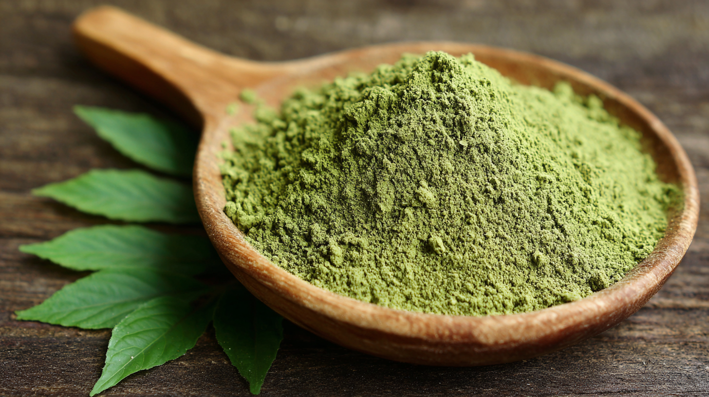 The Powerful Benefits of Organic Nettle Leaf Powder: Nature's Green Superfood Unveiled