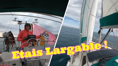 Exploring the Hidden World: How Micro Cameras Revolutionize Scientific Research