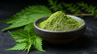 The Powerful Benefits of Organic Nettle Leaf Powder: Nature's Green Superfood Unveiled
