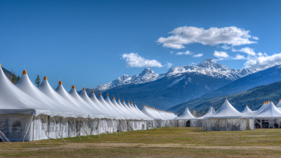 The Ultimate Guide to Choosing the Perfect Tent Canopy for Any Outdoor Event