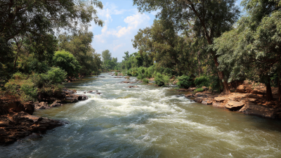 Understanding Discharge Standards for Sustainable Water Management Practices