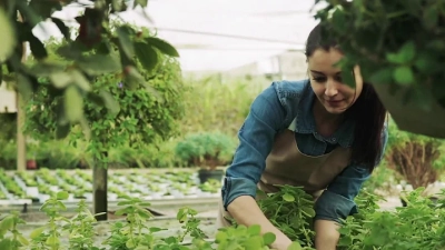 Unlocking the Potential of Passive RFID Tags in Supply Chain Optimization and Inventory Management